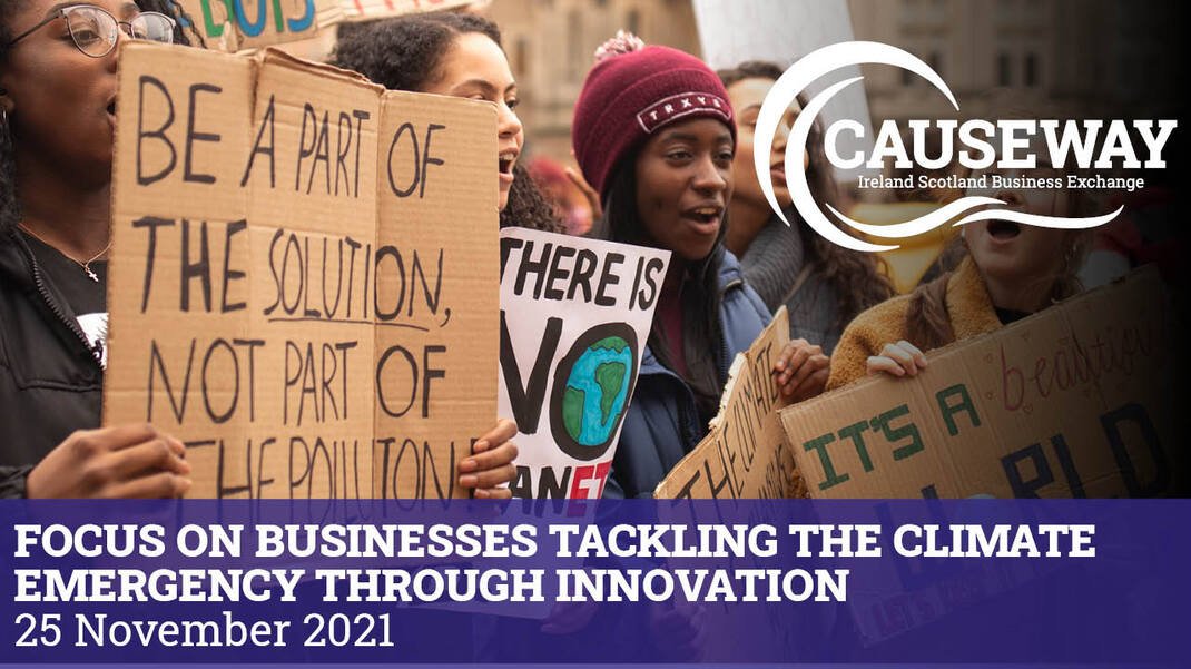 Focus on Businesses Tackling the Climate Emergency through Innovation