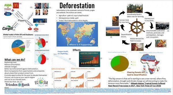 Deforestation infographic