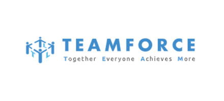 Teamforce Labour Limited
