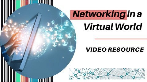 Networking in a Virtual World
